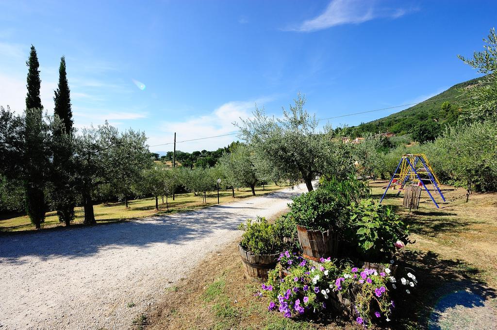 Colle Degli Olivi Snc Pensionat Assisi Eksteriør billede
